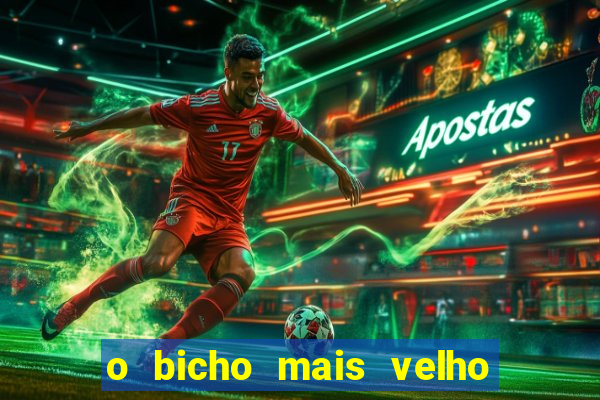 o bicho mais velho da loteria dos sonhos